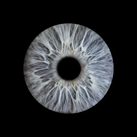 Iris sublimé en œuvre personnalisée